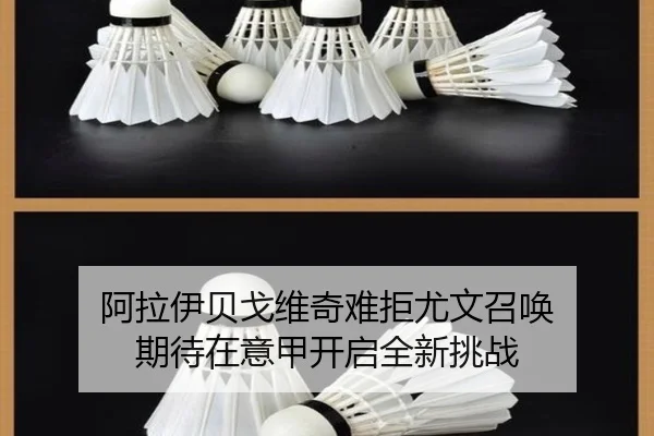阿拉伊贝戈维奇难拒尤文召唤 期待在意甲开启全新挑战 | WANMEISPORTS